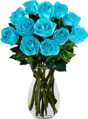 12pcs Blue Roses in Vase
