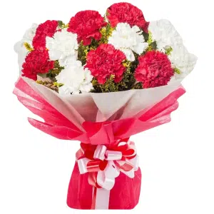 Elegant Red and White Carnation Bouquet