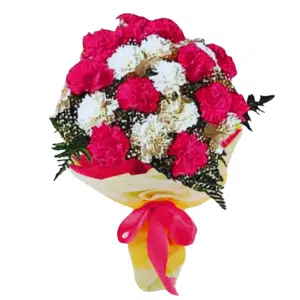 Mixed Color Carnation Surprise