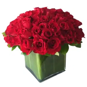 36 Red Roses In Square Vase