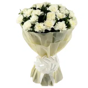Graceful White Carnation Gift