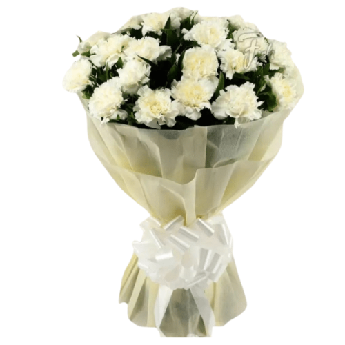 Graceful White Carnation Gift