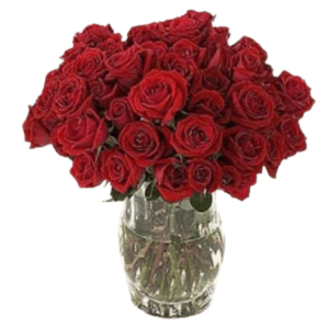 36pcs Red Roses in Vase to Cavite