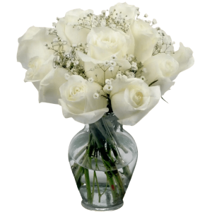 12 White Roses in Vase