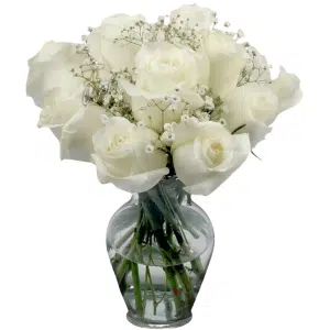 12 White Roses in Vase