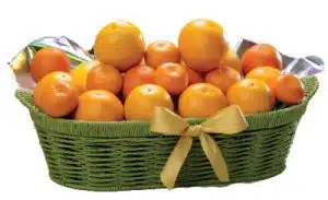 Orange Basket