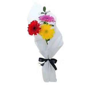 3 Gerberas