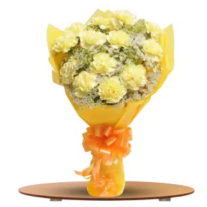Yellow Carnations