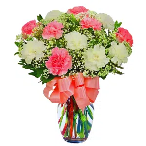 Pink and White Carnations In Vase