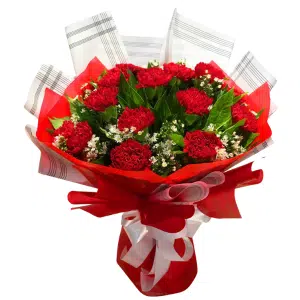 Red Carnations for Love