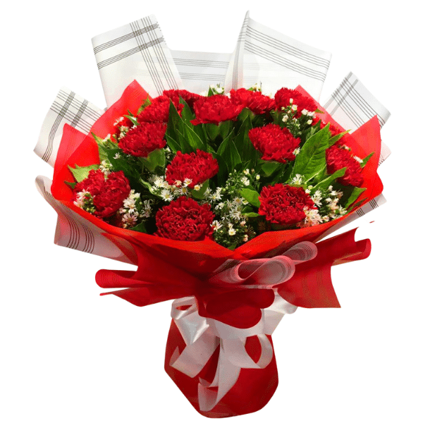 Red Carnations for Love