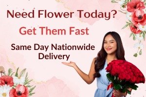 Same Day Flower Delivery