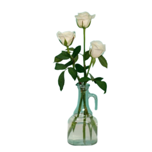 3pcs White Roses in a Vase to Taguig