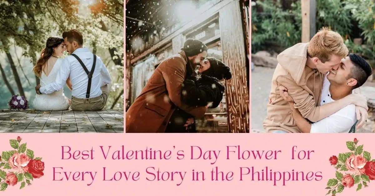 Valentine’s Day Flower