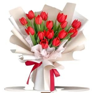 Red Tulips