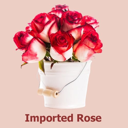 rose delivery philippines