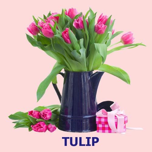 send tulip philippines